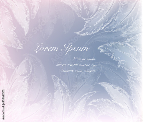 feather background