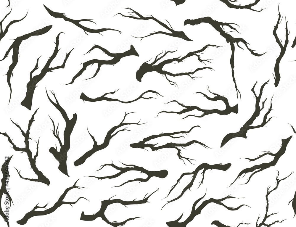 tree branches tree branches