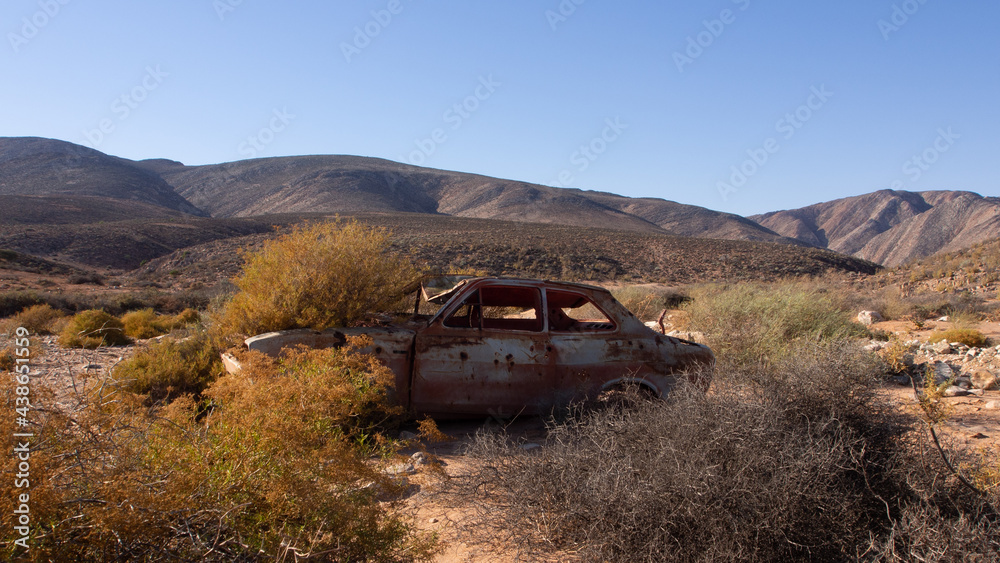 Naklejka Opuszczony zardzewiały wrak samochodu na pustyni. Samochód potoczył się w wypadku i został spłaszczony, wokół niego zaczęły rosnąć rośliny.
