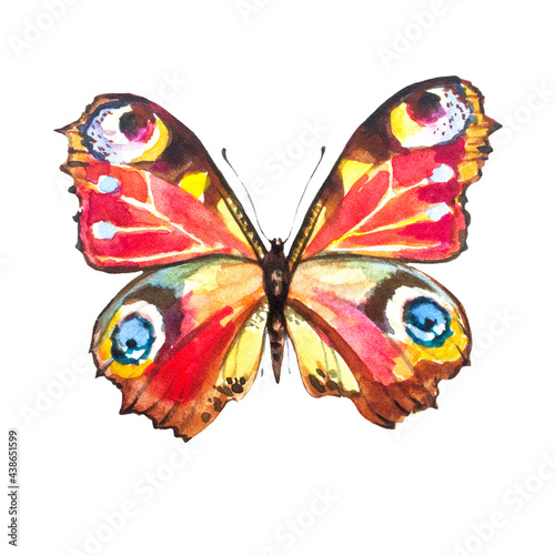 beautiful pink butterfly,watercolor,isolated on a white © aboard