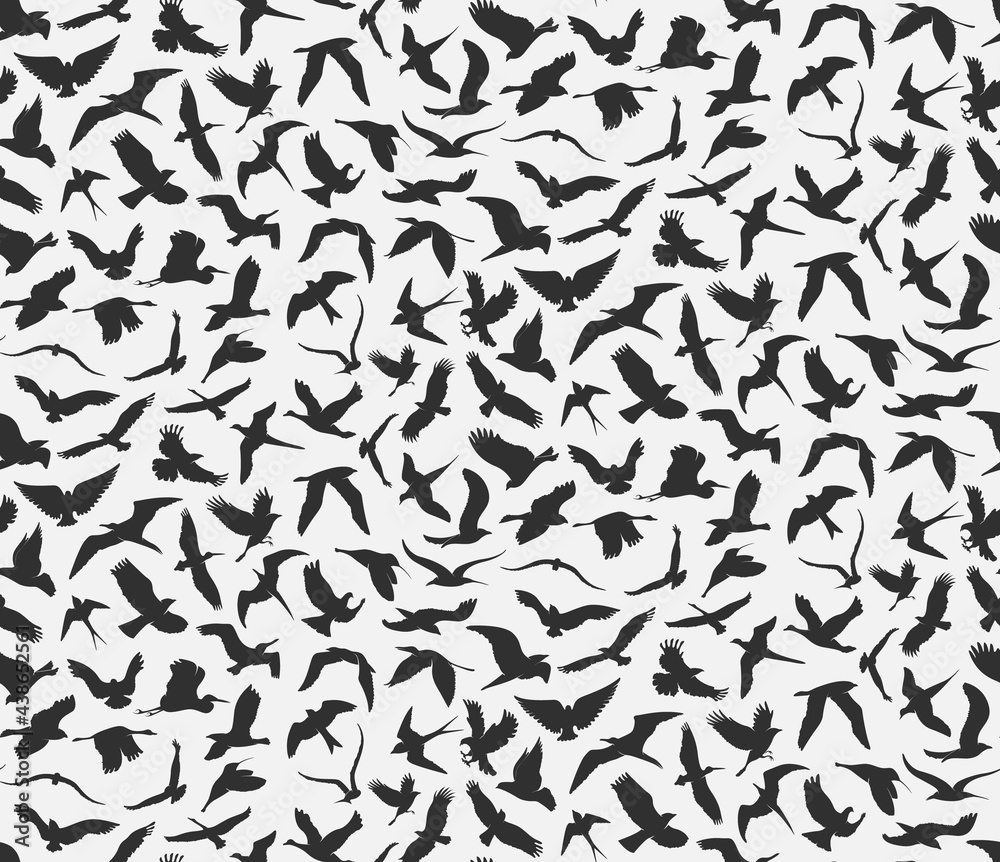 illustration of seamless pattern of flying birds.