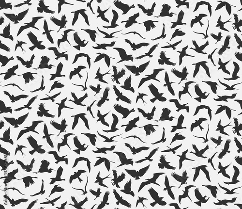 illustration of seamless pattern of flying birds.