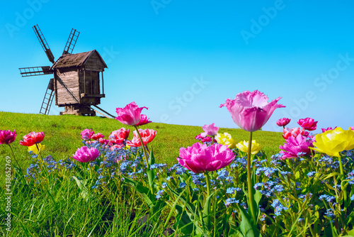 Summer landscape with countryside windmill and seasonal flowers