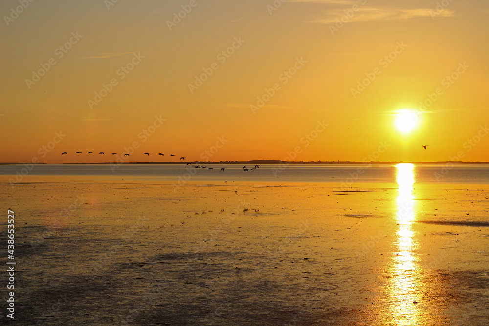 The evening sun in the Wadden Sea, over the island of Langeoog