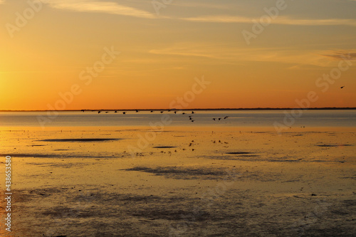 The evening sun in the Wadden Sea, over the island of Langeoog