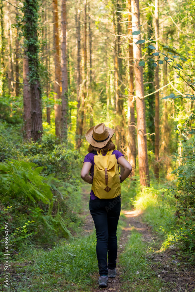 Traveler woman wearing a hat and looking at the forest pines, hiker lifestyle concept, copy and paste space, forests of the Basque country. Spain
