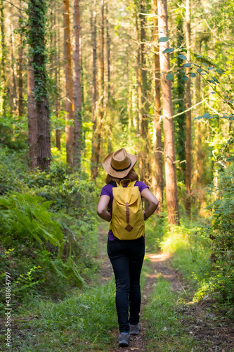 Traveler woman wearing a hat and looking at the forest pines, hiker lifestyle concept, copy and paste space, forests of the Basque country. Spain © unai
