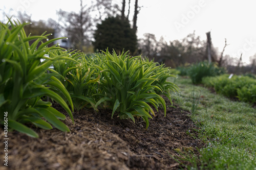 Schaugarten Weihenstephan