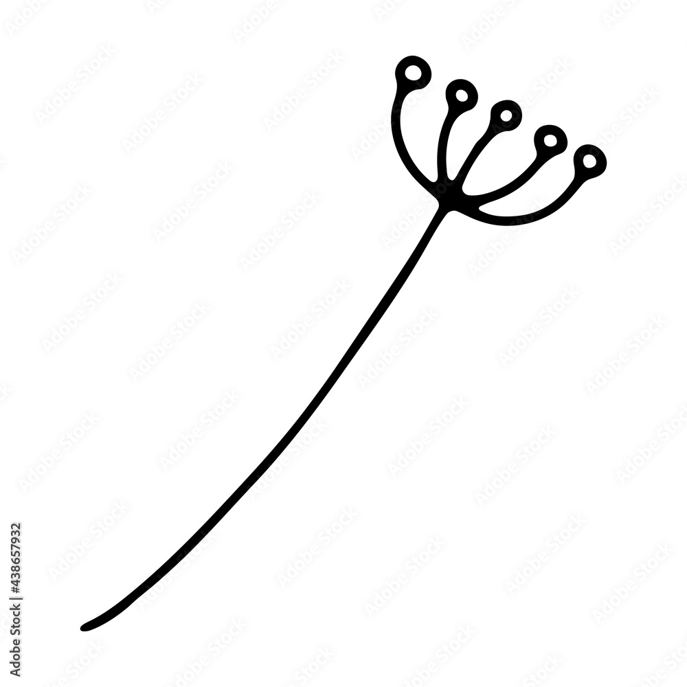 Doodle delicate twig. Hand-drawn cute plant isolated on white background. Herb with small buds. Vector floral illustration for interior, gardening, holiday, wedding. Minimalistic botanical poster Doodle delicate twig. Hand-drawn cute plant isolated on white background. Herb with small buds. Vector floral illustration for interior, gardening, holiday, wedding. Minimalistic botanical poster