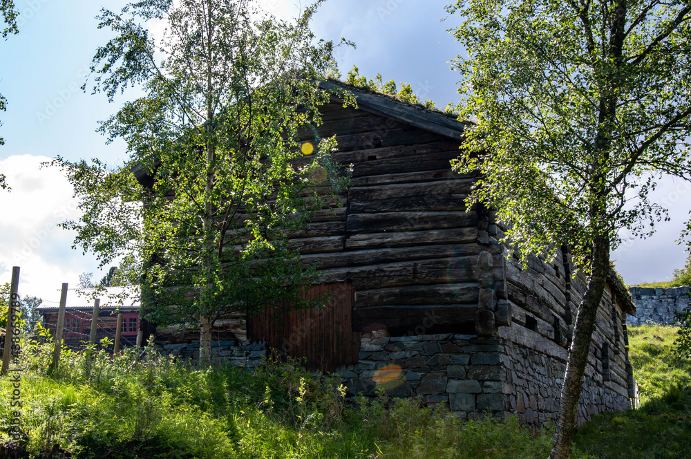 Norwegian fjord landscapes from the mountains and the sea Norwegian fjord landscapes from the mountains and the sea