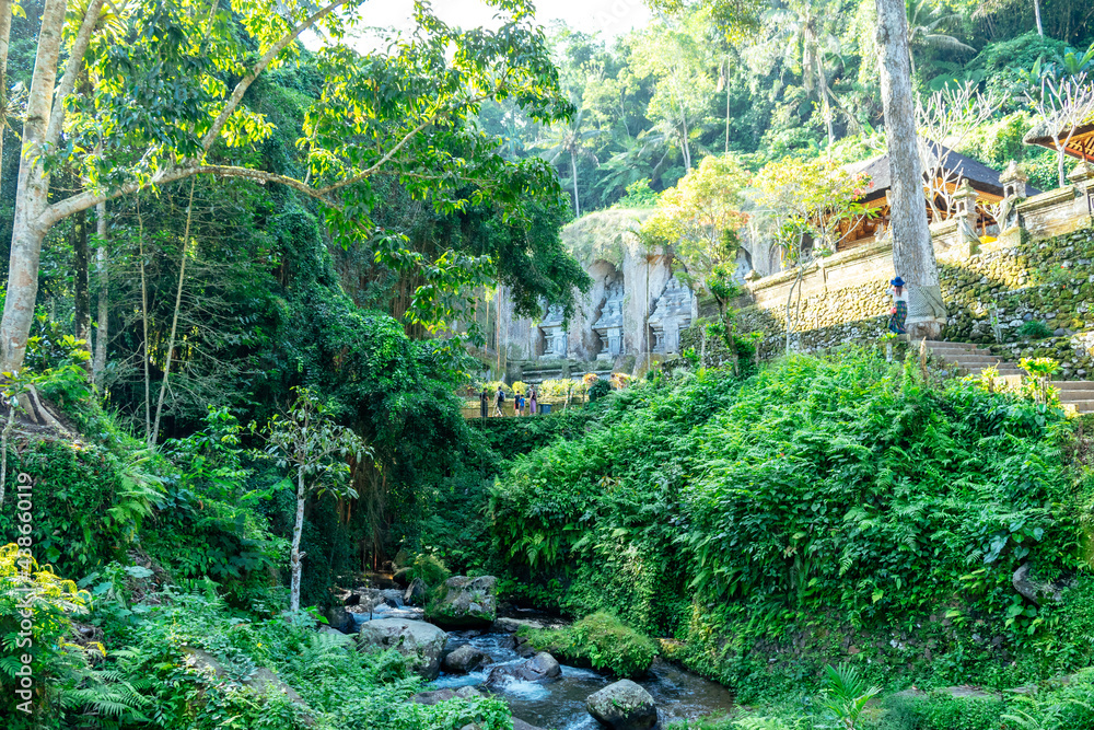 Fototapeta premium The Tirta Empul temple in Bali, Indonesia. It has holy water where the Hindu people of Bali go for