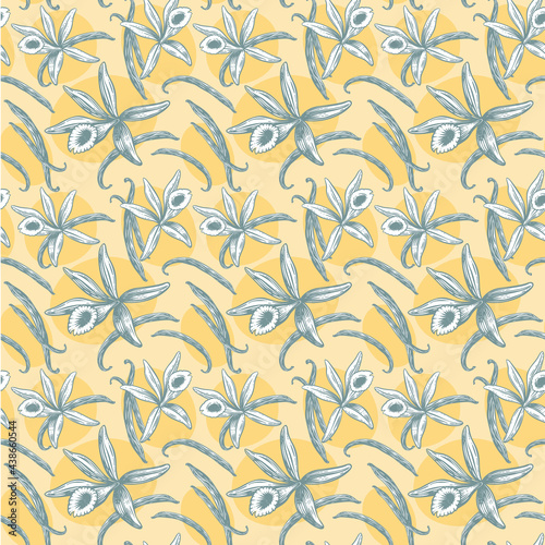 01_Vanille_design