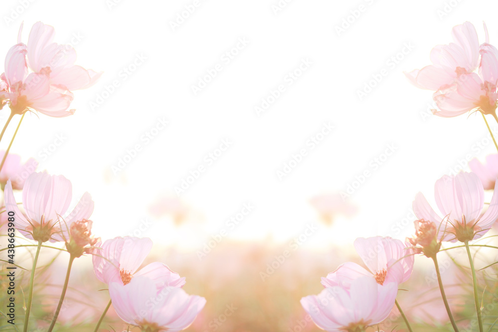 abstract, background, beautiful, beauty, bloom, blooming, blossom, blur, bokeh, branch, bright, card, closeup, color, colorful, concept, copy space, design, flora, floral, flower, frame, fresh, garden abstract, background, beautiful, beauty, bloom, blooming, blossom, blur, bokeh, branch, bright, card, closeup, color, colorful, concept, copy space, design, flora, floral, flower, frame, fresh, garden