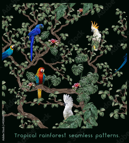 Seamless patterns art of Amazon tropical rainforest lifes.