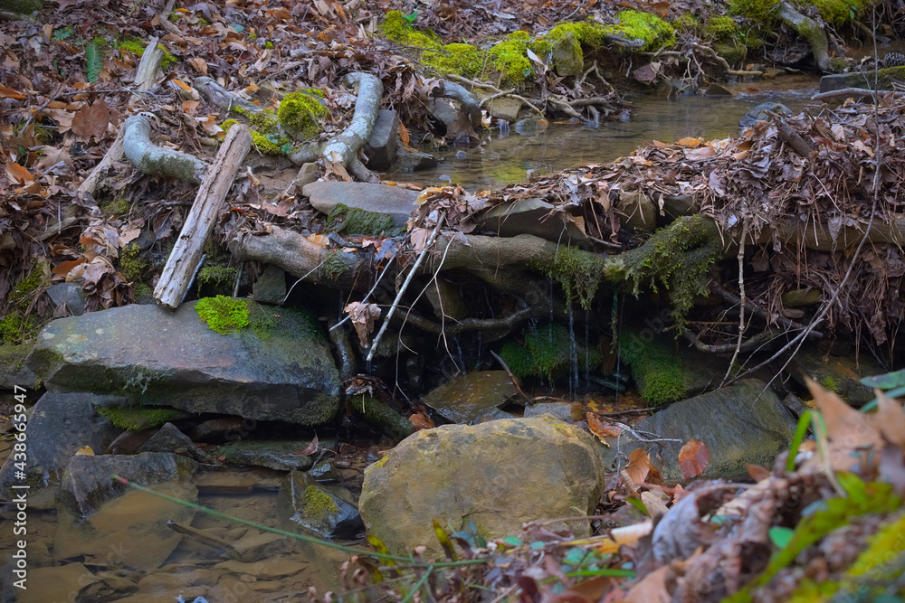 Stream flowing into Armurchee creek over roots and rocks in Chattahoochee National Forest mountains near John's Mountain in Georgia Stream flowing into Armurchee creek over roots and rocks in Chattahoochee National Forest mountains near John's Mountain in Georgia