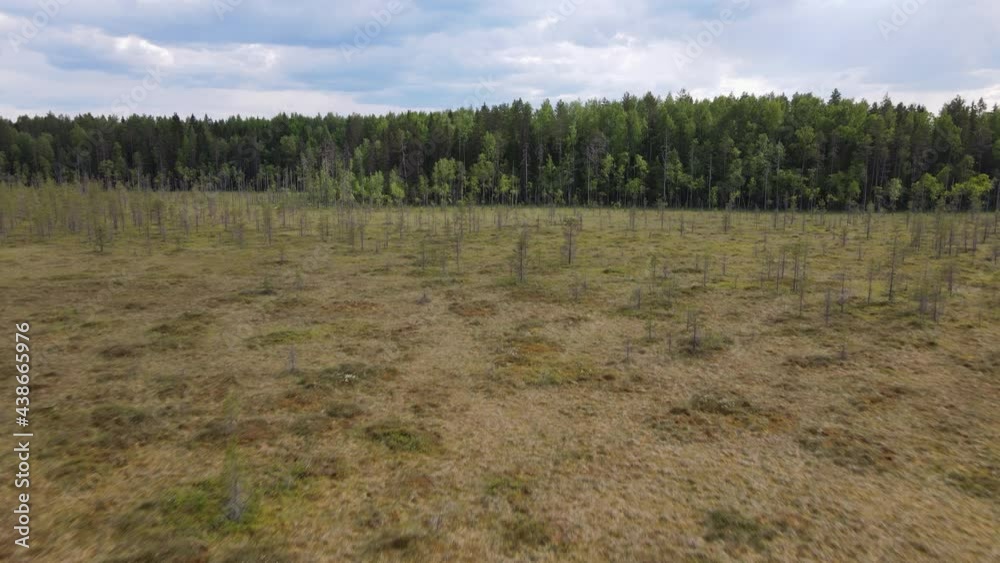 Aerial drone view of the trees, river and Arctic wetlands of North Karelia