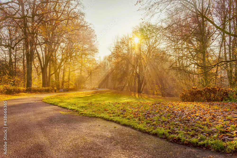 Sunlit Walking path in old park in autumn. Beautiful Countryside landscape