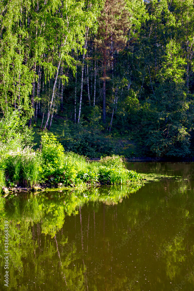 River in summer with green forest on the banks River in summer with green forest on the banks