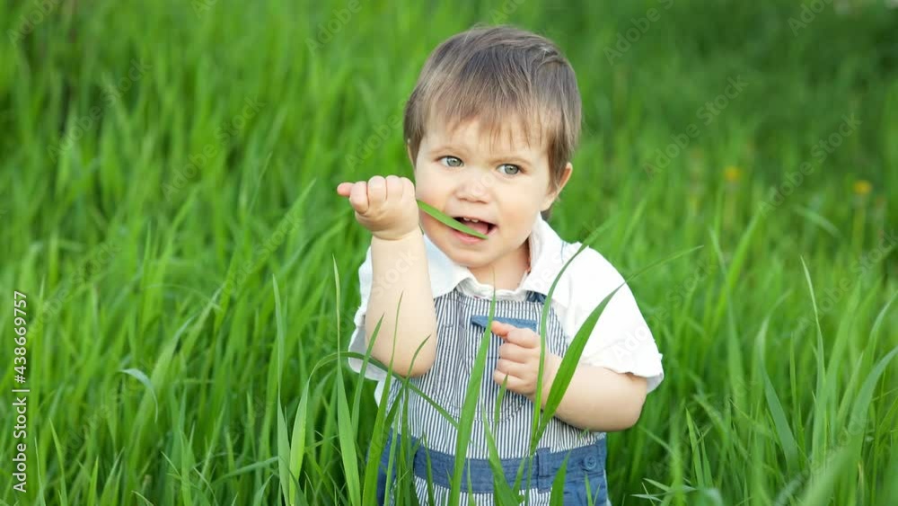 Funny little boy with blue bright eyes in overalls eating fresh green grass in a large blooming garden Funny little boy with blue bright eyes in overalls eating fresh green grass in a large blooming garden