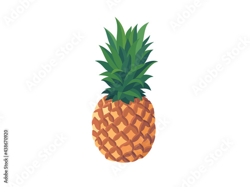 Pineapple fruit isolated on white background 