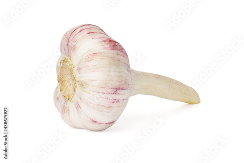 fresh garlic isolated on white background. organic food