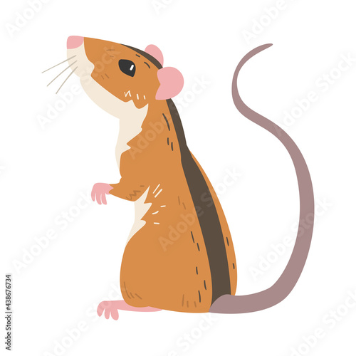 Striped Field Mouse as Small Rodent with Long Tail Standing Vector Illustration