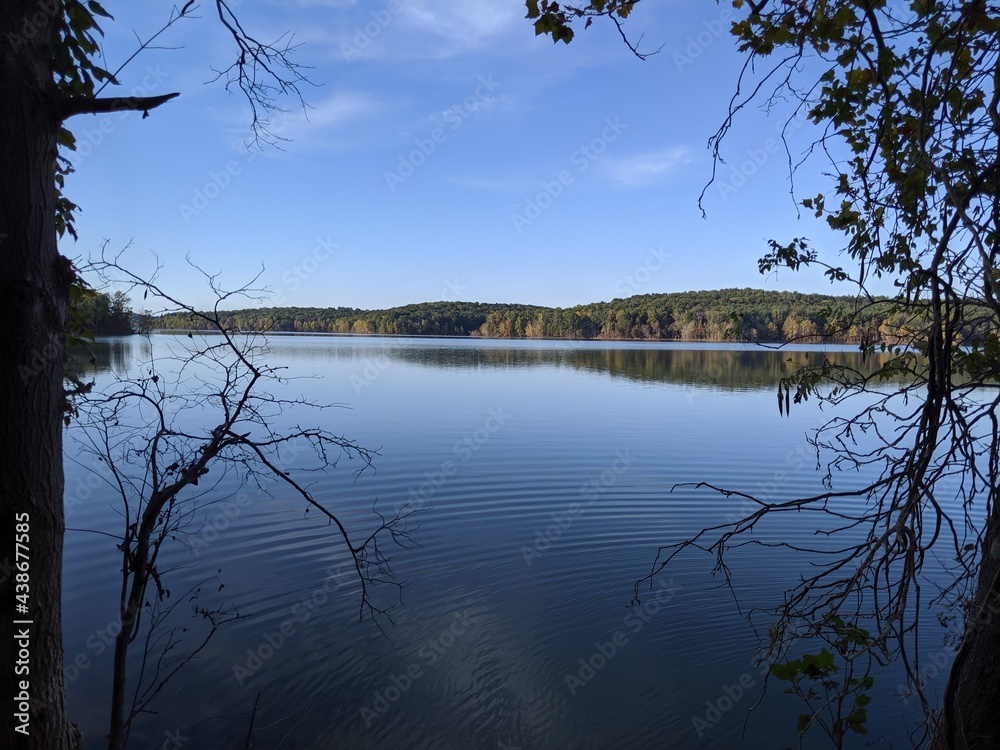 Pretty lake scene in the morning, with trees in the foreground and in the distance. Pretty lake scene in the morning, with trees in the foreground and in the distance.