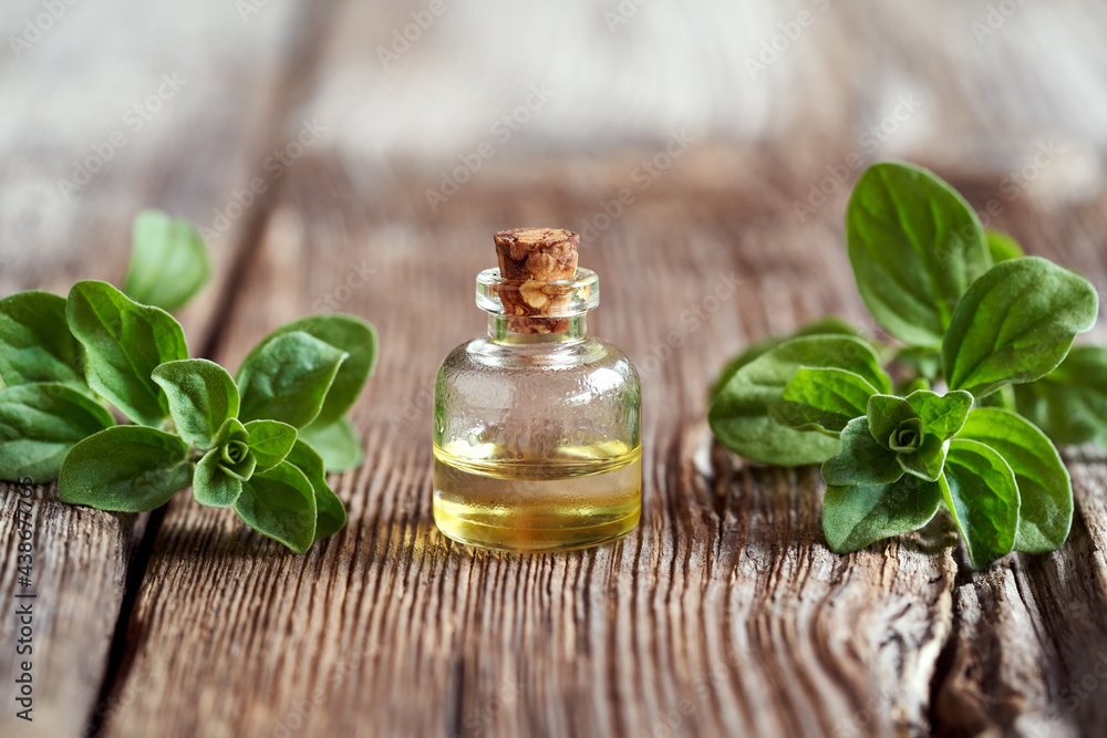 A bottle of marjoram essential oil with fresh marjoram A bottle of marjoram essential oil with fresh marjoram
