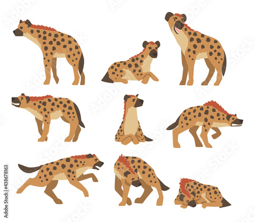 Hyenas as Carnivore Mammal with Spotted Coat and Rounded Ears Sitting, Standing and Attacking Vector Set photo