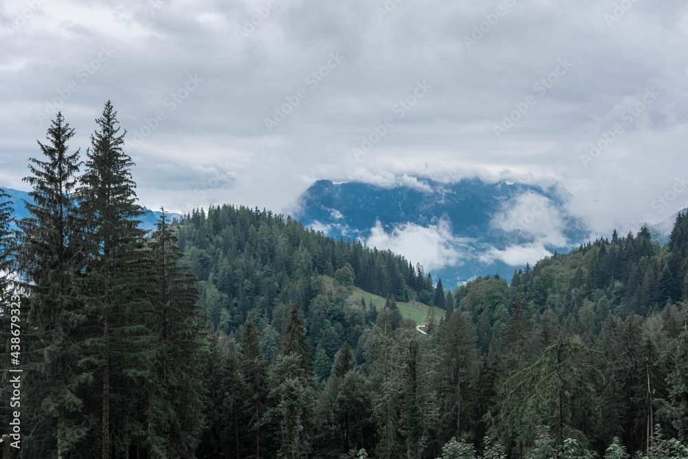 Foggy forest on Mount Jenner, Germany