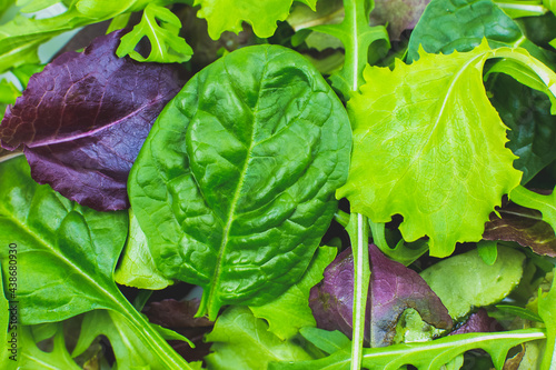 Green lettuce, Arugula and spinach leaves close up. Fresh salad texture background. Vegetarian, healthy food. Vegetable and vitamins products. Macro photo.
