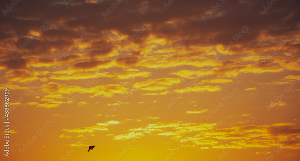 Obraz premium clouds and sun