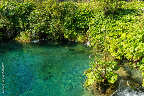 The crystal water of Plitvice Lakes, Croatia © Stefano Zaccaria