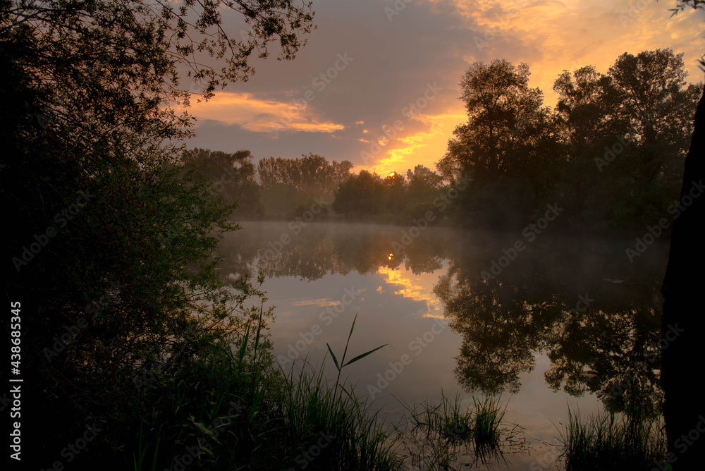 Rheinauen in der Ortenau am frühen Morgen