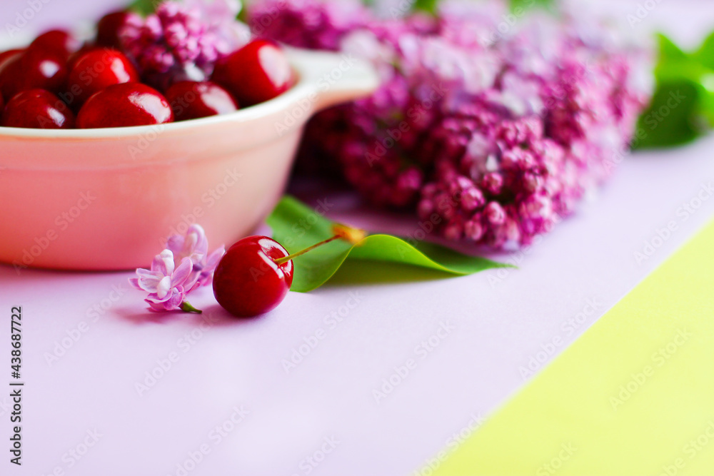 summer still life with ripe cherries in a plate and lilac on a purple background. selective focus, close-up summer still life with ripe cherries in a plate and lilac on a purple background. selective focus, close-up