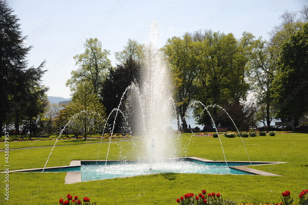 Fototapeta premium Insel Mainau, Park mit Springbrummen