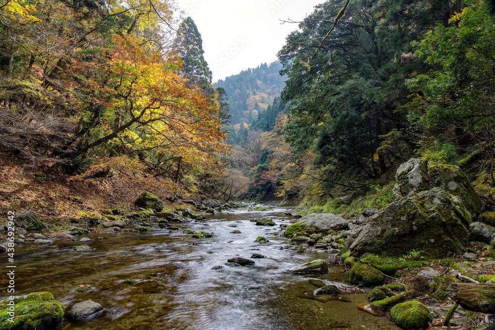 紅葉が美しい日本の渓流