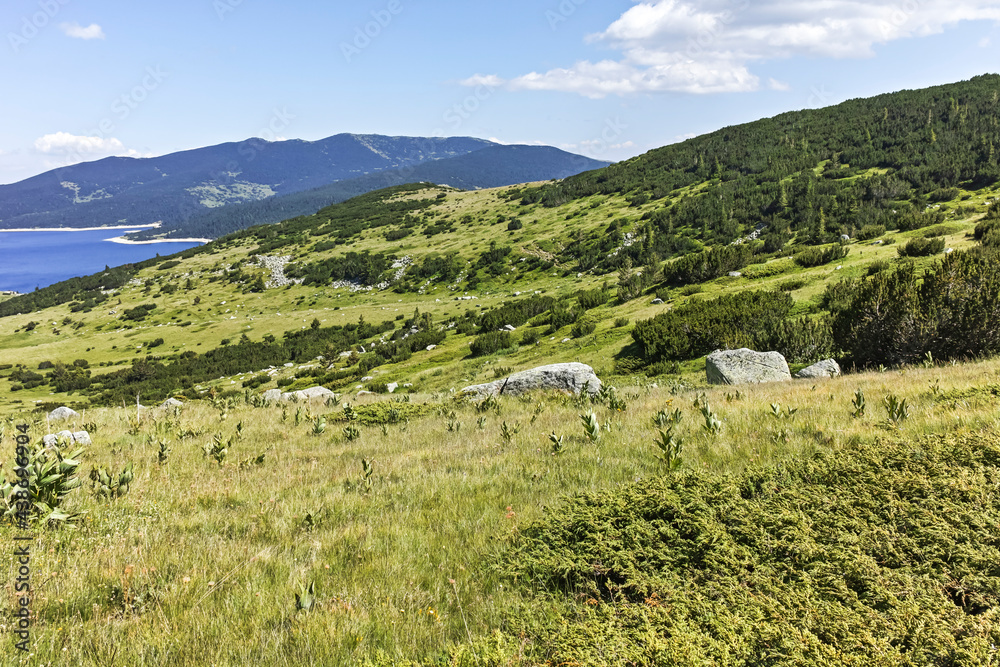 Obraz premium landscape with Belmeken Reservoir, Rila mountain, Bulgaria