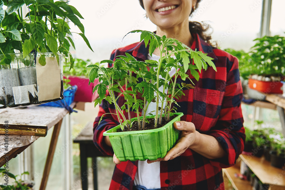 Φωτογραφία Saplings of plants with soil grown in plastic container in the hands of a smilin