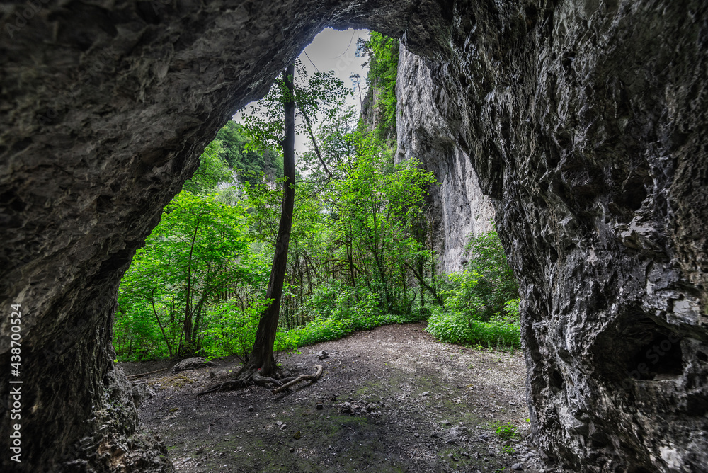 View from the inside of the cave to the mountainous green forest