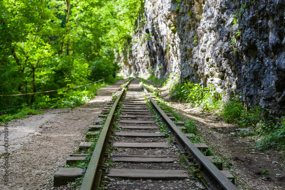 Narrow gauge railway in a mountain gorge among green vegetation Narrow gauge railway in a mountain gorge among green vegetation