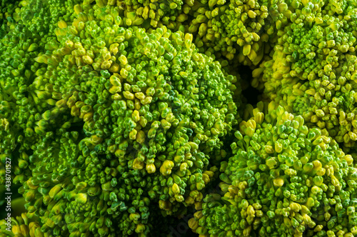 Top view of broccoli, texture of broccoli macro, healthy vegetarian food, close-up © Wingedbull