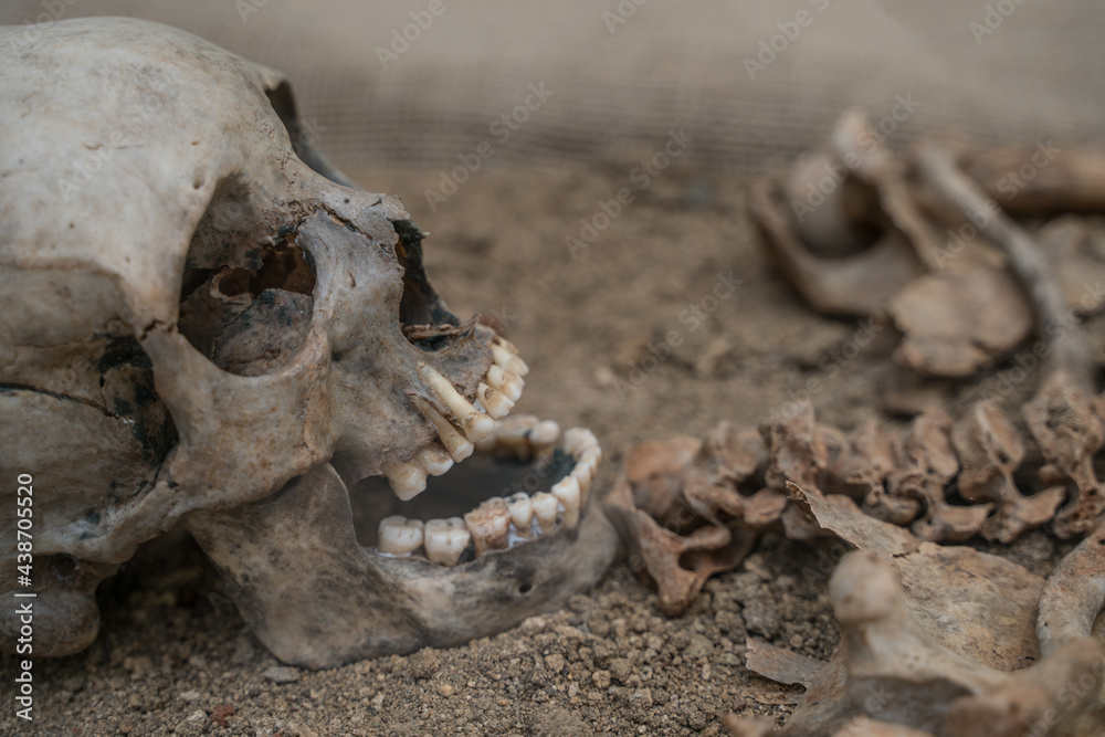 Skull and skeleton of an ancient caveman excavated. Skull and skeleton of an ancient caveman excavated.