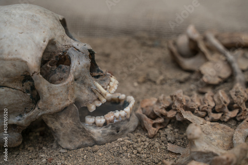Skull and skeleton of an ancient caveman excavated.