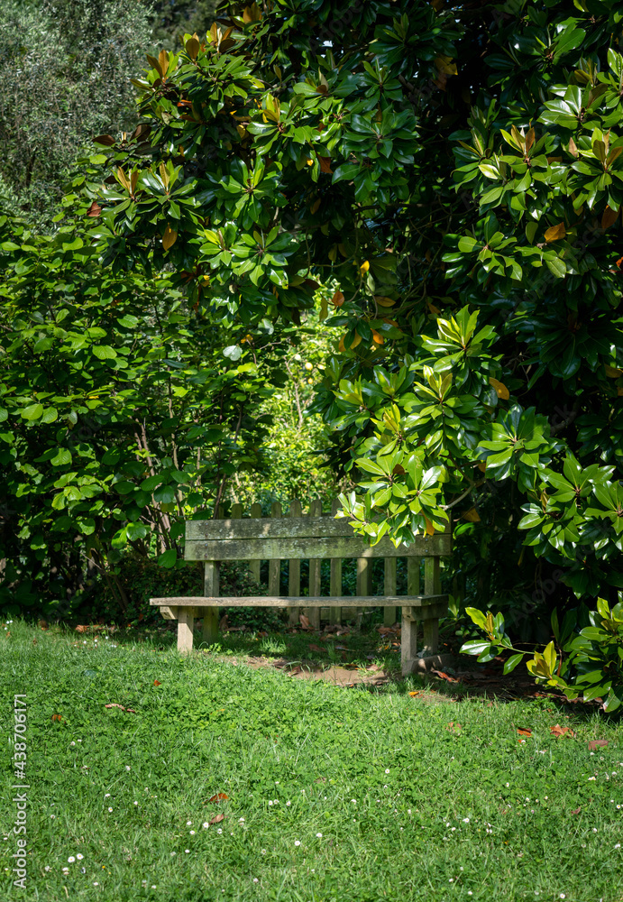 A garden with a wooden rustic bench in tree shade A garden with a wooden rustic bench in tree shade
