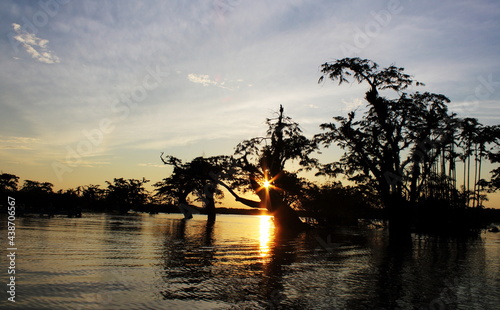 Big Lagoon in the Cuyabeno Reserve photo