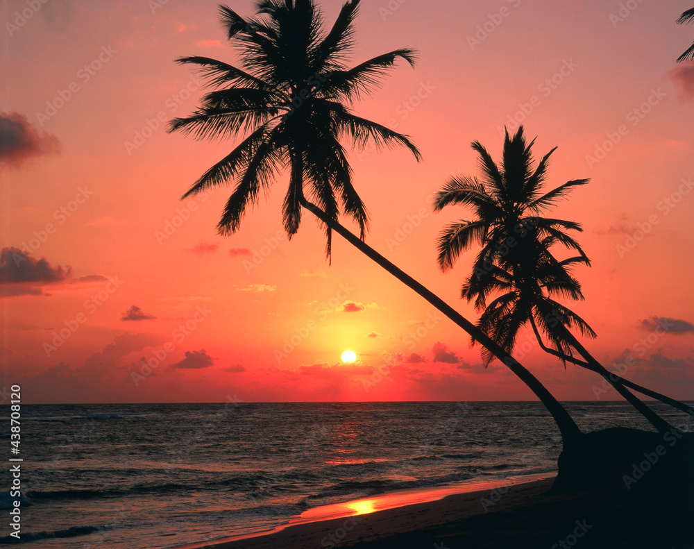 dominican republic, punta cana, palm beach, sunset, 