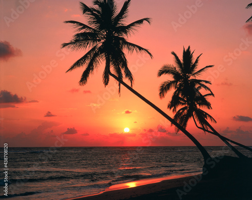 dominican republic, punta cana, palm beach, sunset, 