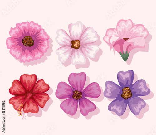 flowers symbol set
