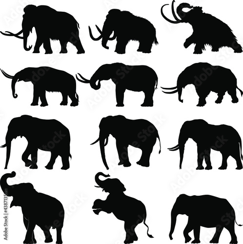 A collection of various elephant silhouettes in various poses